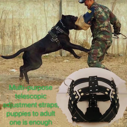 Dog Harness For Large Dog,Pit Bull Dog Harness Large Dog Collar Wholesale Leash Dog Vest Collar Fashion Pet Products Accessories