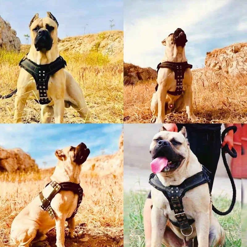 Dog Harness For Large Dog,Pit Bull Dog Harness Large Dog Collar Wholesale Leash Dog Vest Collar Fashion Pet Products Accessories