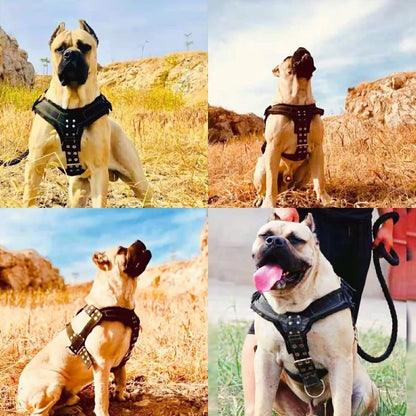 Dog Harness For Large Dog,Pit Bull Dog Harness Large Dog Collar Wholesale Leash Dog Vest Collar Fashion Pet Products Accessories