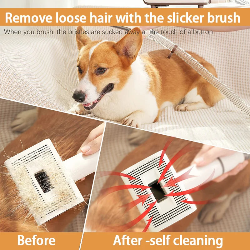 Pro Pet Grooming Kit Pet Hair Professional Grooming Clippers with 7 Grooming Tools for Dogs Cats and Other Animals