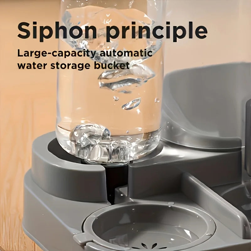 2-in-1 Large Automatic Cat Feeder & Waterer, No Battery Dry Wet Food Separation for Indoor Pets, Transparent Design