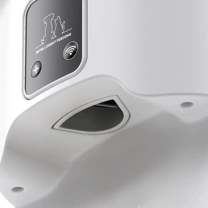 WiFi Automatic Cat Feeder 4L 2.4G Timed Multiple Auto Smart Dog Electric Self Feeding Remote Control Dry Food Basic Dispenser