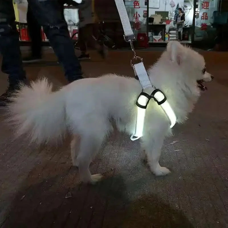 Adjustable LED Dog Harness No Pull Small Medium Glowing Nylon Breast-Band Night Safety Arnes Perro Dropship Pets Dog Accessories
