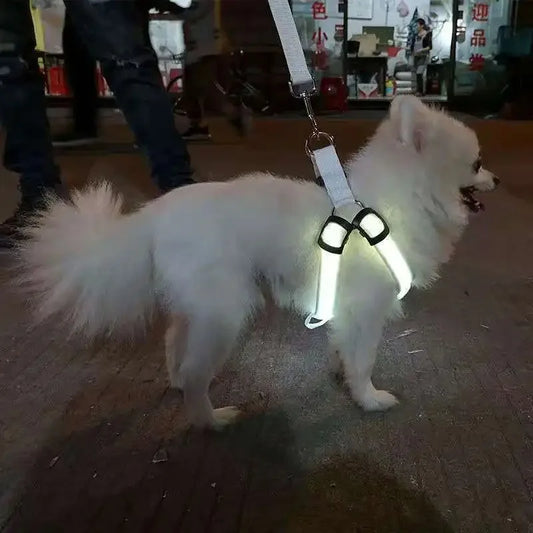 Adjustable LED Dog Harness No Pull Small Medium Glowing Nylon Breast-Band Night Safety Arnes Perro Dropship Pets Dog Accessories